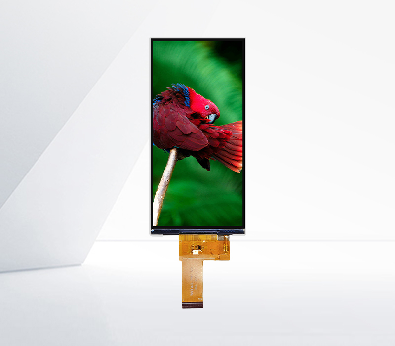 6 inch LCD Display