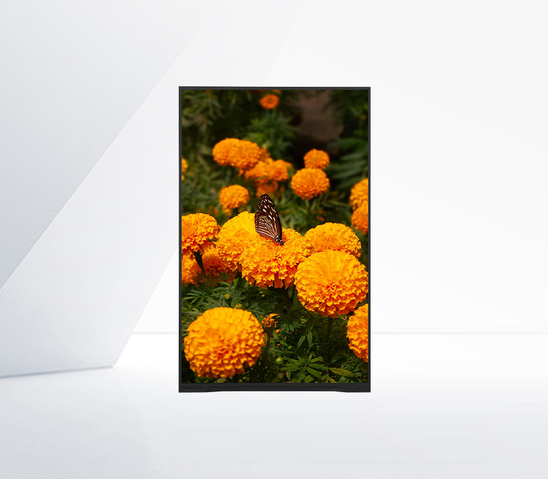Environmentally Friendly Materials in IPS LED Displays